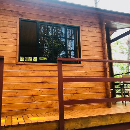 Готель Casa De Arbol, Rancho Tierra Alta Харабакоа Екстер'єр фото