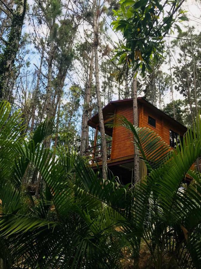 Готель Casa De Arbol, Rancho Tierra Alta Харабакоа Екстер'єр фото