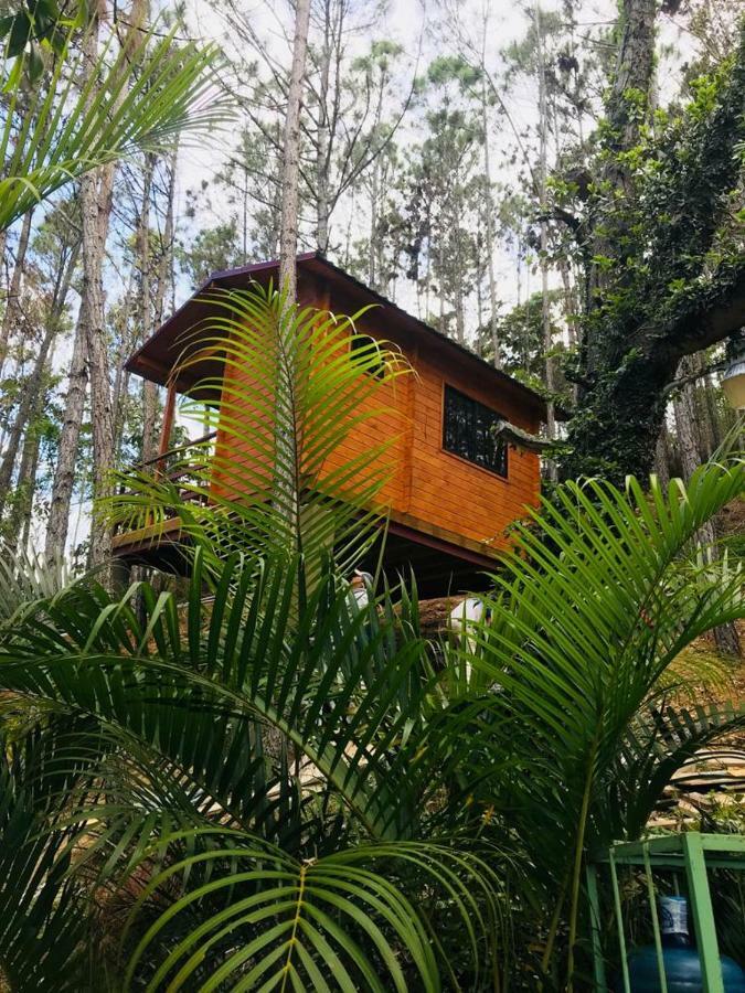 Готель Casa De Arbol, Rancho Tierra Alta Харабакоа Екстер'єр фото