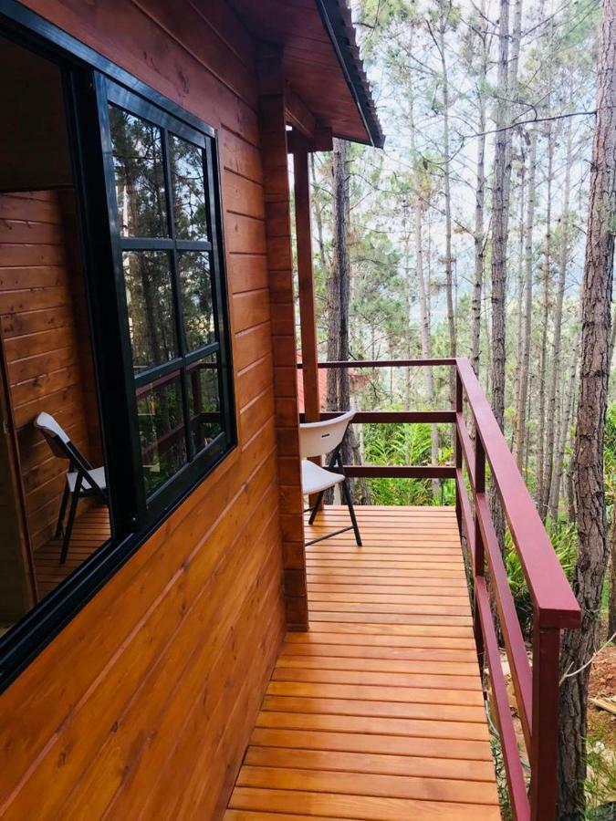 Готель Casa De Arbol, Rancho Tierra Alta Харабакоа Екстер'єр фото